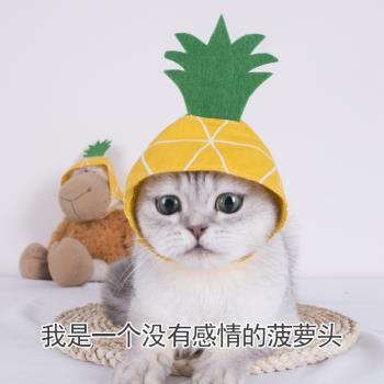 搞笑寵物頭飾貓咪狗狗菠蘿頭飾品泰迪小型犬頭套英短藍貓寵物用品