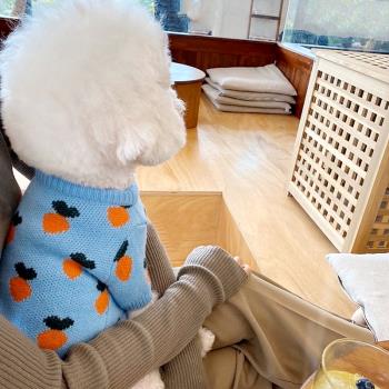 胡蘿卜韓國針織毛衣泰迪狗寵物
