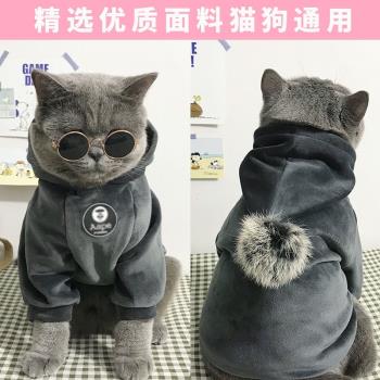 貓咪衣服狗狗冬季新年寵物幼貓小貓藍貓棉衣可愛貓貓冬裝保暖英短
