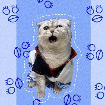 坂田銀時寵物衣服貓咪銀魂cos外套白夜叉小狗春夏季裝扮拍照道具
