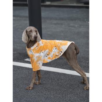 狗狗衣服大型犬夏季防曬寵物衣服金毛邊牧拉布拉多透氣網紅狗衣服