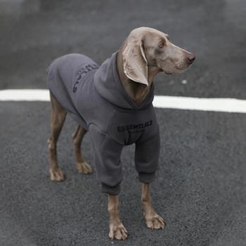 狗狗衣服大型犬春秋金毛衣服薄款防掉毛拉布拉多邊牧帥氣加絨衛衣