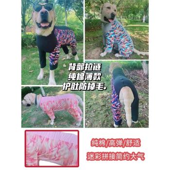 拉布拉多高領拼接全包裹中大型犬