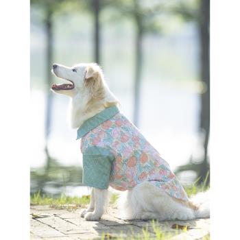 寵物大型犬邊牧襯衫薄款裙子衣服生日禮物情侶裝拍照可愛金毛薩摩