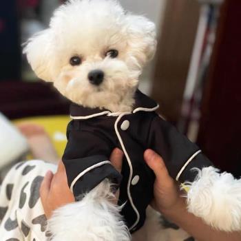 貓咪狗狗衣服秋冬裝寵物睡衣泰迪比熊法鬥幼犬博美小狗小型犬服飾