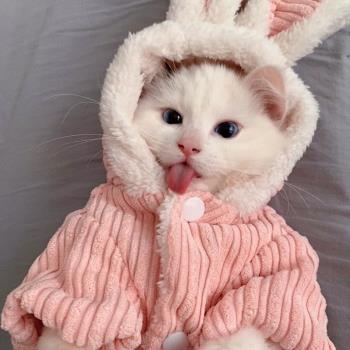 可愛搞怪裝兔耳裝秋冬貓咪服飾中小型犬泰迪加絨冬天棉衣寵物衣服