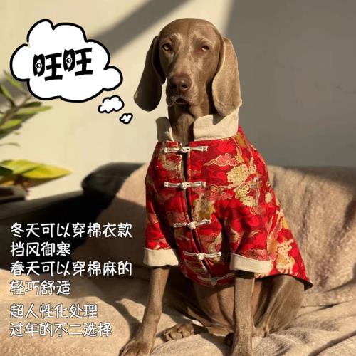 大狗狗過年喜慶衣服春秋薄款狗狗衣服大型犬新年拉布拉多金毛衣服