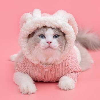 可愛小兔子貓衣服寵物狗狗貓咪衣服英短銀漸層加菲貓服飾秋冬新款
