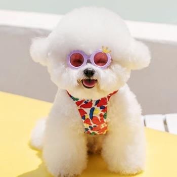 皇冠寵物墨鏡 小型犬泰迪比熊護目防曬太陽眼鏡配飾 貓狗拍照神器