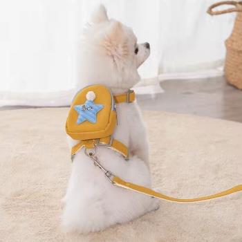 寵物狗狗自背包外出零食迷你書包牽引繩胸帶柯基泰迪小型犬雙肩包