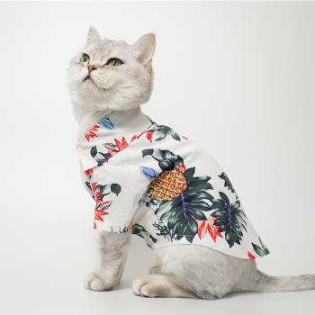 夏威夷風寵物襯衫貓咪衣服夏季薄款防掉毛狗狗小型犬英短藍貓衣服