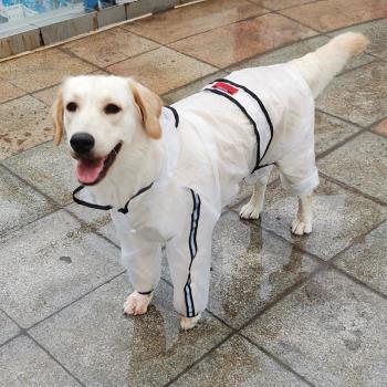 狗狗四腳透明雨衣泰迪金毛柴犬哈士奇小中大型犬寵物雨天防水衣服