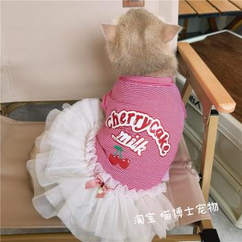 貓咪春夏仙女蓬蓬裙連衣裙紅條紋櫻桃情侶裝可愛狗狗衣服寵物背心