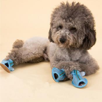 寵物狗狗夏季夏天鞋子防燙小狗軟底防掉穿的透氣小型犬泰迪比熊