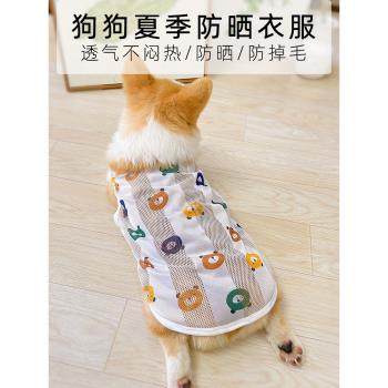 寵物狗狗夏天穿的衣服2023新款柯基衣服夏季透氣防掉毛薄款狗背心
