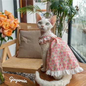 GINGERAIN 德文貓斯芬克斯貓衣服純棉飛飛袖吊帶抗皺碎花連衣裙