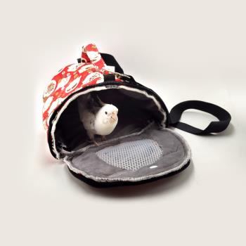 鸚鵡鳥秋冬加厚保暖外出包戶外寵物背包手提包中小型虎皮玄鳳用品
