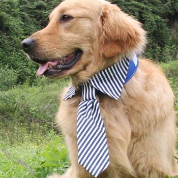 寵物領帶領巾狗領帶中大型犬金毛拉布拉多狗狗條紋領帶領結狗飾品