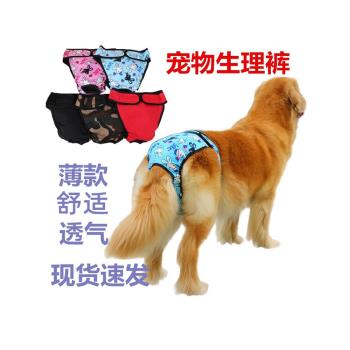 寵物狗狗生理褲女狗月經期內褲母金毛大型犬夏季薄款衛生褲姨媽巾