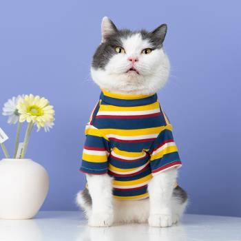 貓咪衣服春夏薄款可愛小型犬狗狗T恤潮牌防掉毛寵物英短藍貓衣服