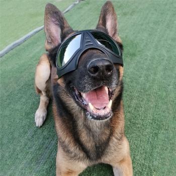 寵物眼鏡太陽眼鏡抖音模特拍照狗墨鏡防風防紫外線道具狗狗護目鏡