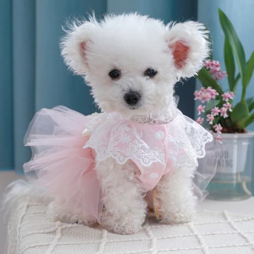 狗狗裙子衣服春夏款寵物小型犬婚紗禮服泰迪貓咪粉色胸背蓬蓬紗裙