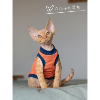 GINGERAIN 德文貓衣服斯芬克斯無毛貓柯尼斯天竺棉全棉薄