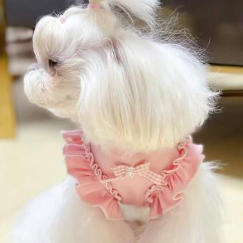 狗狗公主裙春季寵物衣服公主蓬蓬裙小型犬衣服貴賓泰迪博美背心裙