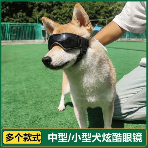 寵物炫酷眼鏡防紫外線軟鏡框狗狗護目鏡墨鏡柯基法斗拍照太陽鏡