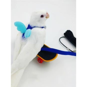 鳥飛行背帶玄風鸚鵡背帶式飛行繩超輕牡丹虎皮外出放飛繩遛神器