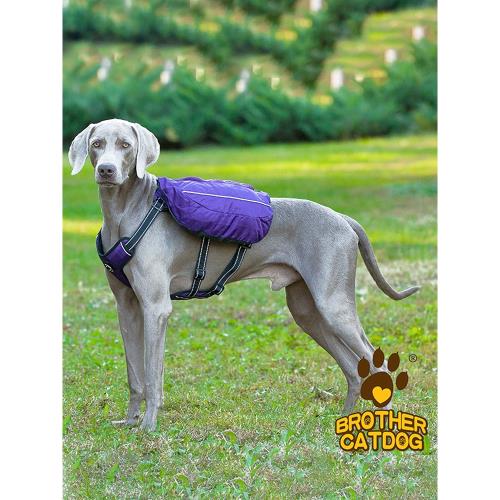 狗狗背包自背包 大型犬大容量寵物背包中型犬斜跨四角雙肩自伏包