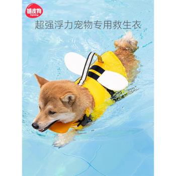 小狗狗救生衣寵物游泳衣服夏季柯基泰迪中型小型犬泳衣大型犬夏天