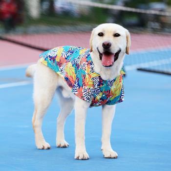 金毛拉布拉多邊牧大型犬狗狗夏季薄款中大型犬寵物夏威夷開胸襯衫