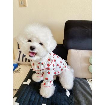 寵物狗狗衣服夏季可愛草莓針織衫比熊約克夏小型犬貓咪防掉毛薄款