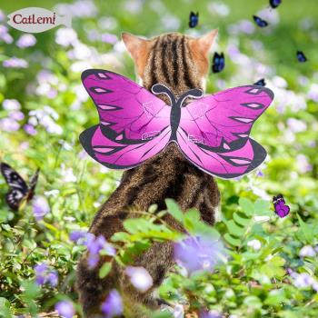 doglemi萬圣節寵物用品搞笑的貓服飾 美貓裝扮可愛貓咪蝴蝶變身裝