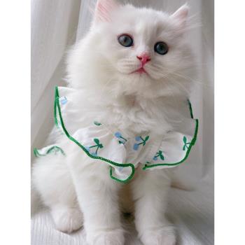 貓咪衣服夏季薄款布偶貓藍貓裙子可愛夏天小貓寵物貓貓幼貓背心裙