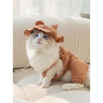 夏天可愛小熊皺布帶帽貓咪家居服防掉毛夏季薄款布偶幼貓寵物奶貓