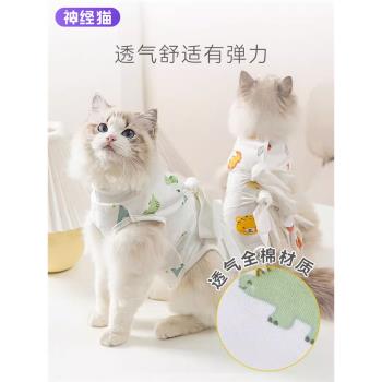 貓咪絕育服全棉透氣衣服寵物小貓貓斷奶服公貓術后防舔母貓手術服