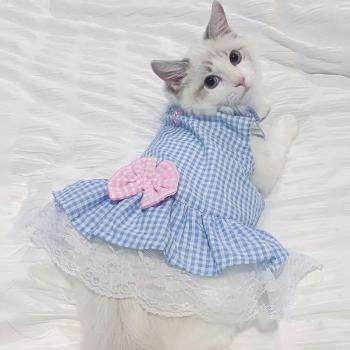 貓咪裙子衣服春秋款公主裙可愛夏季透氣藍幼貓奶貓寵物狗狗吊帶裙