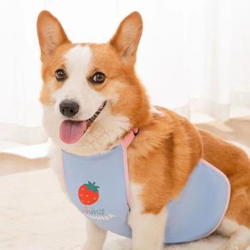 狗狗寵物肚兜柯基犬護肚子防著涼衣服夏秋冬款保暖法鬥寵物防水濺