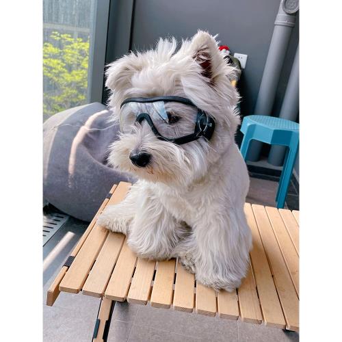 寵物狗狗防風鏡寵物狗用護目鏡墨鏡防風眼鏡太陽鏡狗子專用狗風鏡