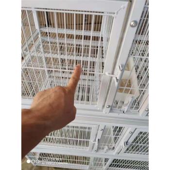 金奧4層16位鴿子籠帶喂食口繁育籠養殖信鴿賽鴿肉鴿加粗加密防鼠