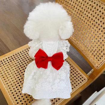 寵物衣服狗狗夏季裙子薄款婚紗裙蝴蝶結蕾絲禮服小型幼犬泰迪比熊