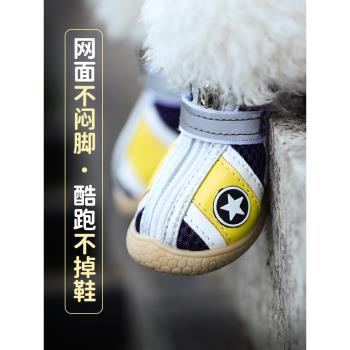 泰迪比熊馬爾濟斯不掉腳狗狗鞋子