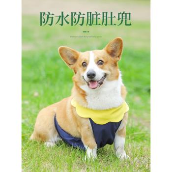 狗狗柯基肚兜春秋雨衣防臟寵物狗