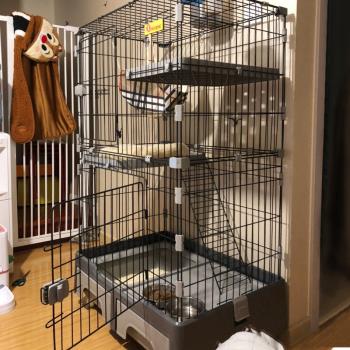 貓籠別墅大號貓咪室內家用大型超大自由空間帶廁所日式寵物貓籠子