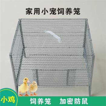 小雞籠子育雛籠家用雞籠蘆丁雞專用籠鴨子飼養箱鴿子籠加密鵪鶉籠
