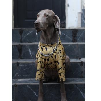 狗狗衣服大型犬金毛拉布拉多夏季薄款帥氣潮牌透氣網眼防掉毛T恤
