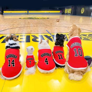 狗狗籃球衣隊服夏季薄款小型中型大型犬網眼透氣背心寵物運動衣服