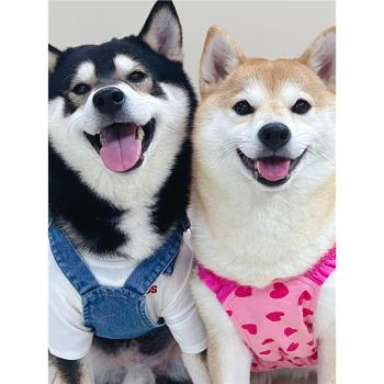 TawneyBear狗狗衣服春秋款柴犬博美小狗狗馬爾濟斯無袖牛仔背帶裙
